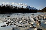 Whirlpool River, Jasper National Park, UNESCO World Heritage Site, Alberta, Canada, North America