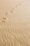 Footprints on sand