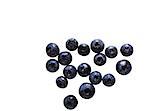 Blueberries on white background