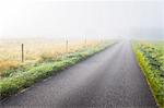 Country road in fog