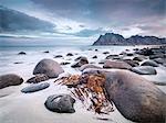 Stones and seaweeds on beach