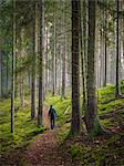 Man in forest