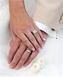 Hand of bride and groom with wedding rings