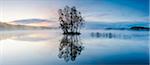 Island with trees on lake, dusk