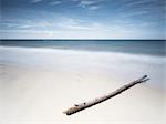 Stick on sandy beach