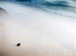 Pebble on sandy beach