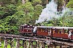 Type NA class 2 6 2T Steam Locomotive of the Puffing Billy Railway narrow gauge heritage railway crossing the Puffing Billy Railway Trestle Bridgein the Dandenong Ranges near Selby, Melbourne, Victoria, Australia.