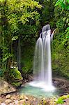 Dominica, Pont Casse. Soluton Falls is a recently opened, privately owned waterfall.