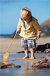 UK, Cornwall, Polzeath. A young boy explores the rock pools at low tide.