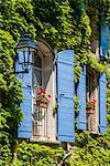 Ivy surrounded house windows in Provence, France