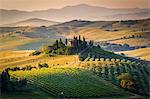 Val d'Orcia, Tuscany, Italy. A lonely farmhouse with cypress and olive trees, rolling hills.