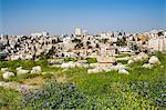 Jordan, Amman, The Citadel.  Jordan s capital city seen from the Citadel which is a national historic site on a hill in the middle of the city. The Roman ruins date back to the second century AD.