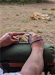 Kenya, Mara North Conservancy. A tourist composes a photograph of a male lion.