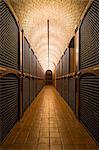 Spain, Alava, Laguardia. Bottle racks at Bodegas Campillo.