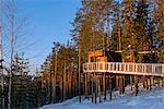 Arctic Circle, Lapland, Scandinavia, Sweden, The Tree Hotel, The Dragonfly room