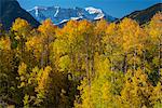 USA, Colorado, San Juan Mountain range in the fall