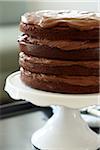 Layered Chocolate Birthday Cake on Cake Stand