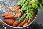 Bunch of Carrots in Metal Colander with Water being Sprayed on them