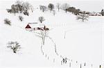 Couple walking in winter landscape