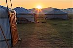 Sunrise over gers in summer, Nomad camp, Gurvanbulag, Bulgan, Northern Mongolia, Central Asia, Asia