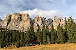 Colorful woods in autumn at Sella Pass, Fassa Valley, Trentino-Alto Adige, Dolomites, Italy, Europe