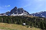 Sass de Putia in background enriched by green woods, Passo delle Erbe, South Tyrol, Dolomites, Italy, Europe