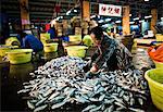 Aberdeen Fish Market, Hong Kong, China, Asia