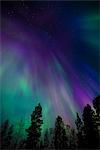 Aurora borealis, corona, Muonio, Finland, Scandinavia, Europe