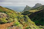 Taganana village, Anaga Mountains, Tenerife, Canary Islands, Spain, Atlantic, Europe