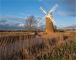 A view of Hardley Mill in the Norfolk Broads, Norfolk, England, United Kingdom, Europe