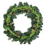 Winter wreath with ivy, blue spruce fir and greenery over white background.