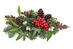 Christmas and winter flora with mistletoe, holly and red berries, ivy, spruce fir and cedar cypress over white background.