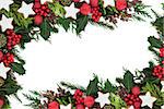 Christmas background border with gingerbread star biscuits, red bauble decorations, holly, ivy, pine cones, cedar cypress and fir over white.