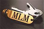 MLM - Multi Level Marketing - Concept. Keys with Golden Keyring on Black Wooden Table. Closeup View, Selective Focus, 3D Render. Toned Image.