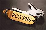 Keys to Success - Concept on Golden Keychain over Black Wooden Background. Closeup View, Selective Focus, 3D Render. Toned Image.