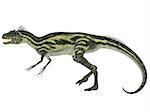 Deltadromeus was a theropod carnivorous dinosaur that lived in Northern Africa during the Cretaceous Period.