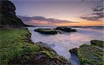 Bungan Beach on Sydney's northern beaches just before sunrise.  Lots of thick squishy green stuff on the rocks