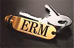 ERM - Enterprise Risk Management - Bunch of Keys with Text on Golden Keychain. Black Wooden Background. Closeup View with Selective Focus. 3D Illustration. Toned Image.