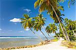 Palms on the white beach and a turquoise sea on a Caribbean island of Barbados