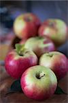Fresh harvest of ripe apples. Nature fruit concept.