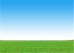 Green grass field and clear blue sky background