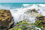 Turquoise rolling wave slamming on the rocks of the coastline
