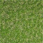 Green grass field background texture. 3d image.