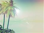 3D render of a palm tree landscape with mountains in background with vintage effect