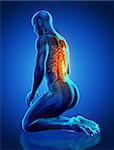 3D render of a male medical figure with spine highlighted in kneeling position