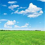 Summer landscape with green grass field and blue sky with clouds