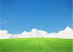 Green grass field and blue sky with clouds on horizon background