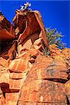 Ancient Indian petroglyphs on a rock face near Cottonwood, Arizona