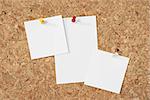 blank paper notes pinned on a cork background