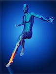 3D male medical figure with leg skeleton highlighted landing from a jump